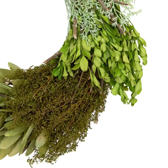 Northlight Cedar, Succulent and Day Grass Artificial Spring Wreath, Green -14-Inch {5}