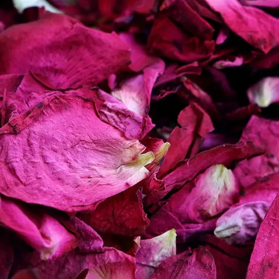 150 Grams/ 5.3 OZ Natural Real Red Rose Flower Petals Dried Rose Petal for Wedding Decoration Bath Foot Bath Wedding Confetti Crafts {4}