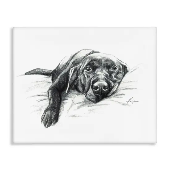 Stupell Industries Naptime Black Labrador Canvas Wall Art Design by Lindsay Kivi Fine Art {1}