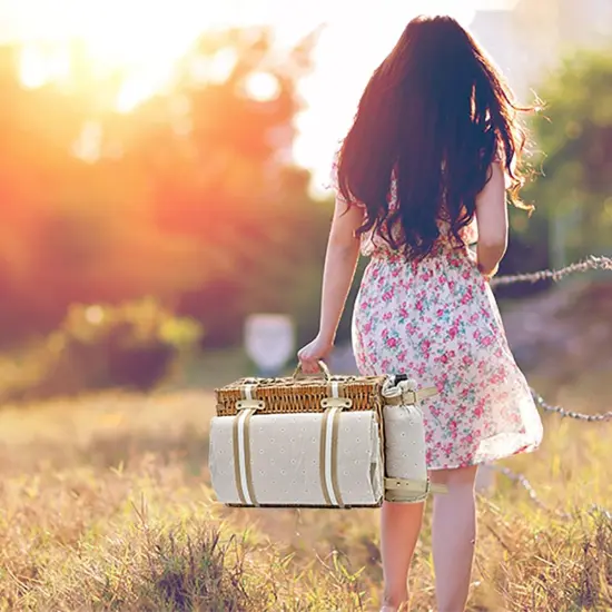 31Pcs Picnic Basket Set for 4 with Insulated Liner and Waterproof Blanket Wine Pouch, Large Wicker Picnic Hamper {5}