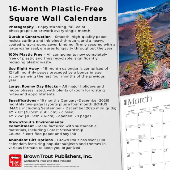 Hawaii Volcanoes | 2026 12 x 24 Inch (Hanging) Monthly Square Wall Calendar | Plastic-Free {6}