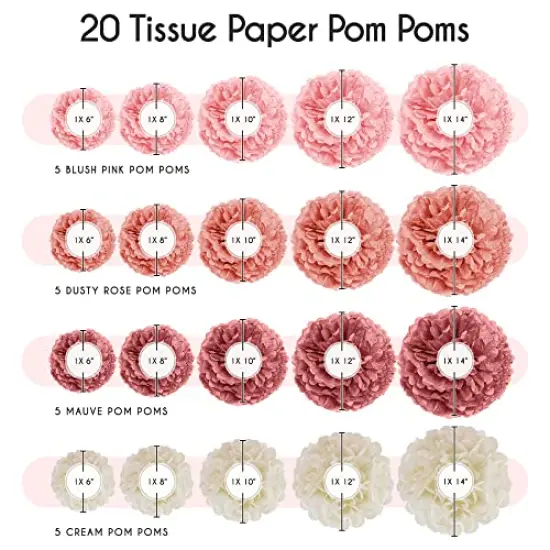 20 Piece Tissue Paper Pom Poms | Blush Pink, Dusty Rose, Mauve & Cream | Colorful Paper Flower Wall Decorations for Bridal Showers, Baby Showers, Weddings, Graduations, Tea Parties & More {1}
