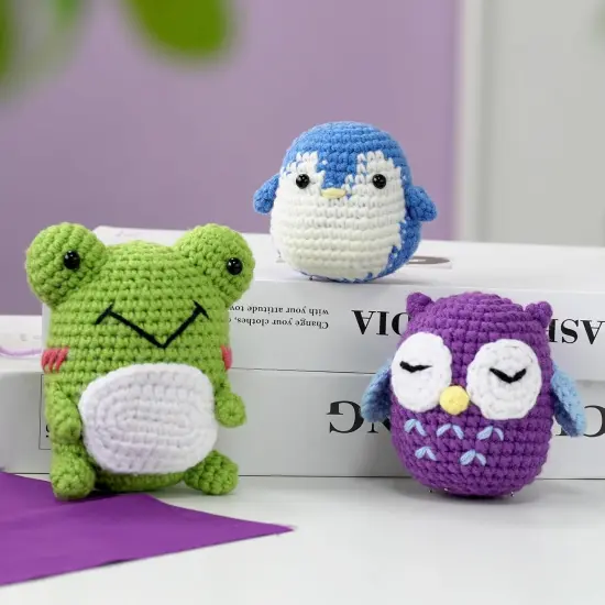 Crochet Kit for Beginners ,DIY Crochet Kit {5}