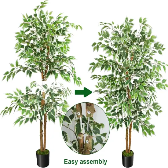 5ft Ficus Tree Artificial, Tall Fake Tree with Natural Trunk Faux Trees Indoor Silk Ficus Leaves Artificial Trees for Home Decor Indoor Summer Office Living Room Outdoor (Included Dried Moss) {3}