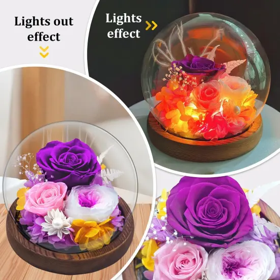Valentines Day Gifts for Her, Real Rose Flowers Bouquet in Glass Dome with Light, Birthday Gifts for Women Wife Grandma Nana Mothers Day Anniversary, Mom Gifts from Daughter Son {3}