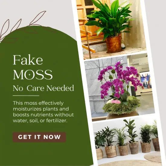 Fake Moss for Potted Plants, Artificial Green Moss for Crafts Faux Moss for Indoor Planters Fairy Garden Table Centerpieces Wedding Decoration (Fresh Green) {3}