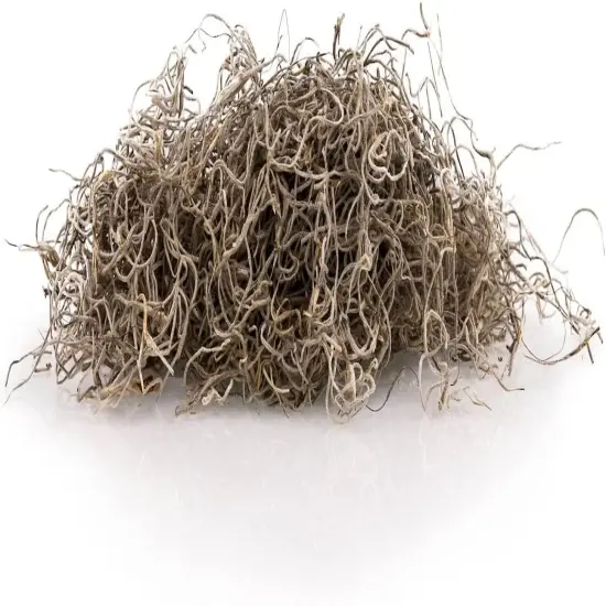 Premium Natural Spanish Moss | Natural Preserved - Great Ground Cover - Filler for Potted Plants {2}