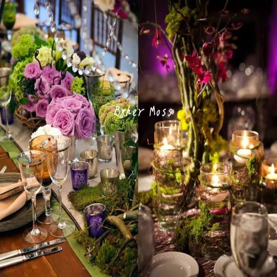 Preserved Forest Moss, Fresh Green (2OZ) {5}