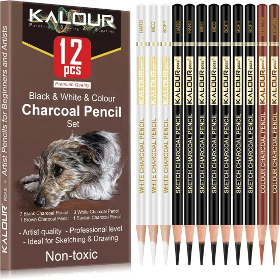 Professional Colored Charcoal Pencils Drawing Set,12 Pieces Pastel Chalk Pencils for Sketching, Shading, Blending, Portrait, Black White Charcoal Pencils for Beginners & Artists {1}