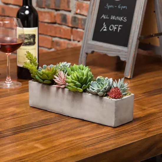 Faux Succulent Plant Arrangement in 12-Inch Gray Cement Pot {4}