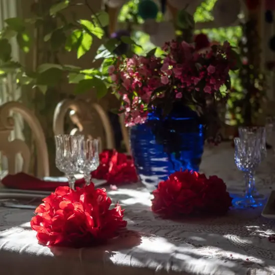 Red Tissue Paper Pom Poms - Assorted Sizes - Red Party Decorations for Birthdays, Weddings, Baby Showers and Special Occasions {5}