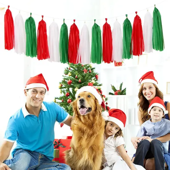 Red-Green White Christmas Party-Decorations - 33pcs Banner,Mexico Italy Streamers Tassel Garland,Tissue Pom Poms Honeycomb,Paper Lantern Fans,Mexican Italian Birthday Wedding Baby Shower Decor {3}