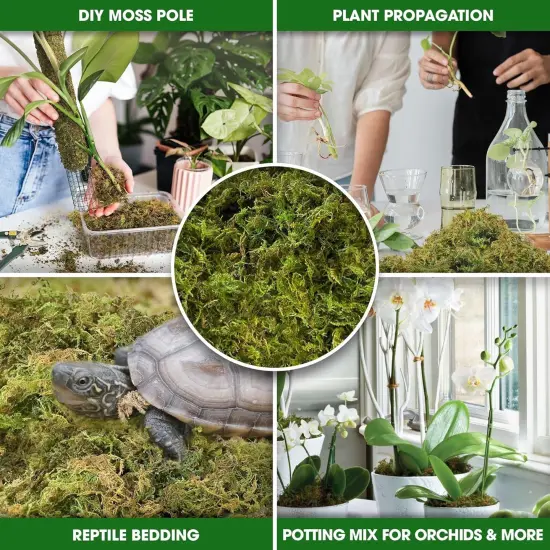 Dried Moss for Potted Plants, Forest Orchid Moss for Potting Mix, Sphagnum Potting Moss for Plants Indoor, Real Moss Soil Cover for Houseplant {4}