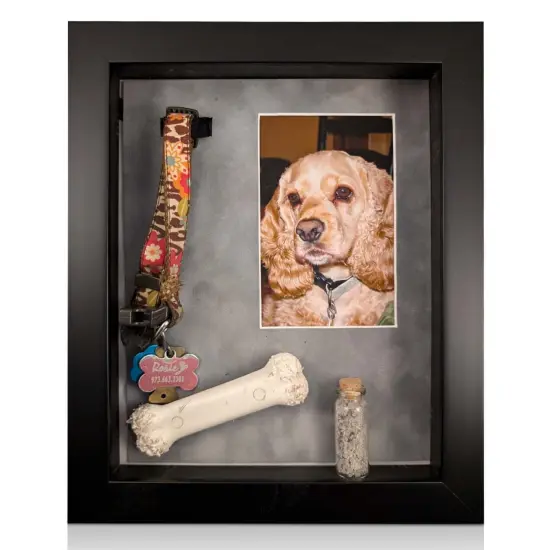 iFrame Pet Memorial Shadow Box and Pets Picture Frame for 4"x6" Photo | Pets Memorial Gifts for Pets Lover | Pet Collar, Pet Ashes Keepsake, Toys & Gift for Someone Who Lost A Pet | Made in USA {1}