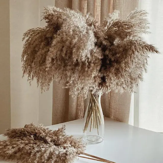 30 Stems Home Decor - Natural Dried Pampas Grass, Fluffy Brown Pompas Grass, Dry Small Pampas Bulk for Living Room Table Decor {1}