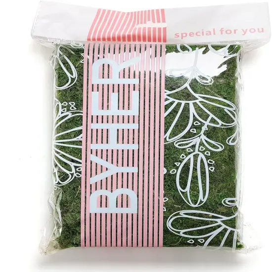 Preserved Forest Moss, Fresh Green (2OZ) {2}