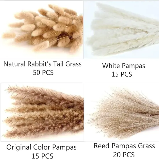 Dried Pampas Grass Decor, 100 Stems Pampas Grass Contains Bunny Tails Dried Flowers, Reed Grass Bouquet for Wedding Boho Flowers Home Table Decor, Rustic Farmhouse Party (17", White and Brown) {3}