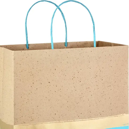 13" Large Paper Gift Bags (Pack of 6 - Turquoise & Kraft) for Birthdays {4}
