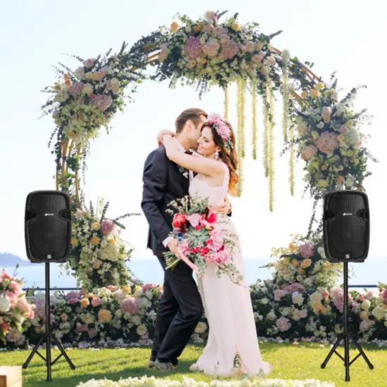 Black Iron and Plastic 2-Way Active Speaker System with Microphone and Stands {2}