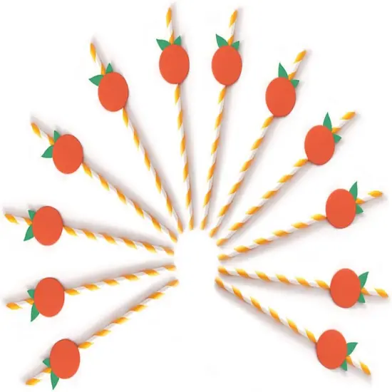 Orange Paper Straws - Biodegradable Disposable Drinking Striped Paper Straws 15 Pieces, Little Cutie Straws, Little Cutie Baby Shower Decorations, Little Cutie Themed Birthday Decorations {5}