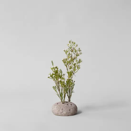 Round Stone Frog by Bloomist {4}