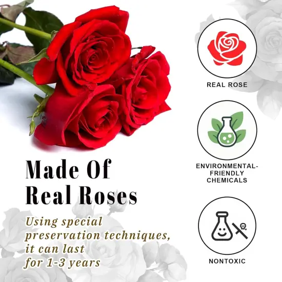 16 Red Real Preserved Rose Flowers in a Heart,Luxury Forever Roses {2}