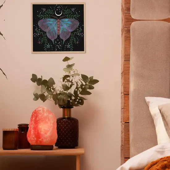 4 Sets Moth and Moon Diamond Painting {4}