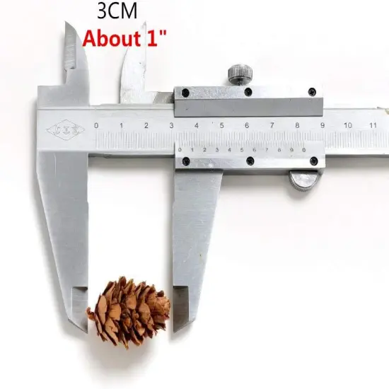 Pine Cones, Mini Pinecones in Bulk for Crafts, 8OZ, Pack of 110 (Natural) {4}