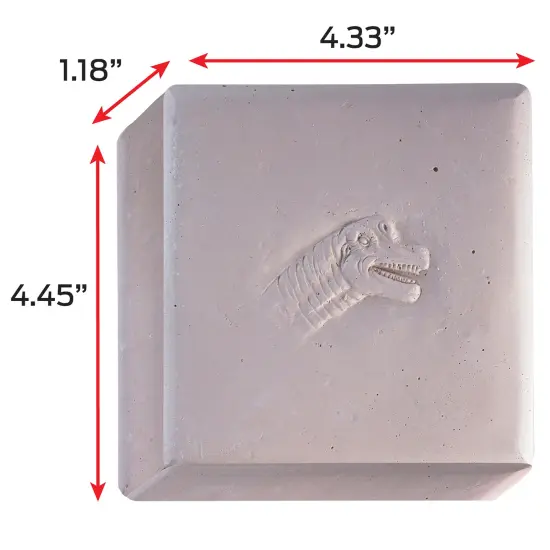 WowWorld: Dino Dig - Brachiosaurus - All-In-One Dinosaur Skeleton Excavation Kit, Tools & Construction Figurine, Educational Science Toy, Kids Ages 6+ {6}