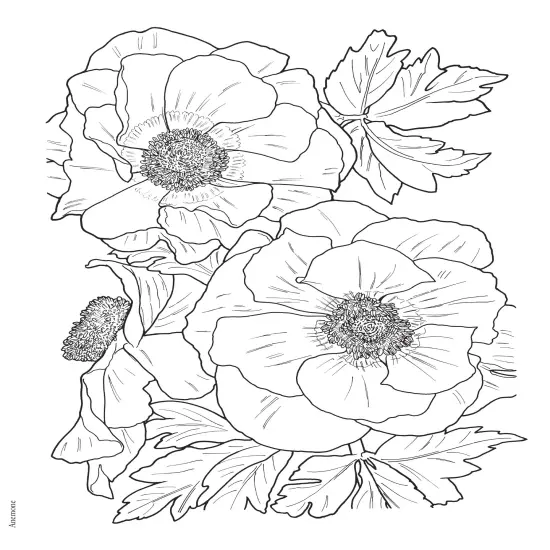 Creative Haven: In Full Bloom Coloring Book-Softcover {5}