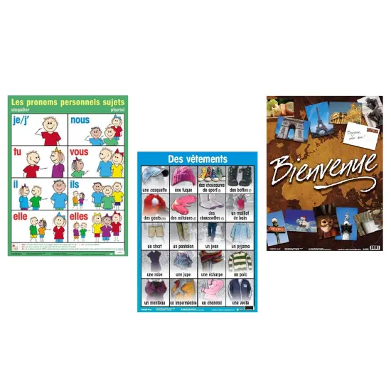 Poster Pals French Educational & Language Teaching basic Posters, large colorful charts, classroom reference and instruction, FSL, 7 pack {5}
