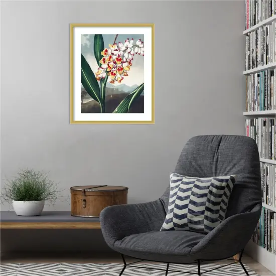 Temple of Flora VII by Dr. robert j. Thornton Wood Framed Wall Art Print {5}