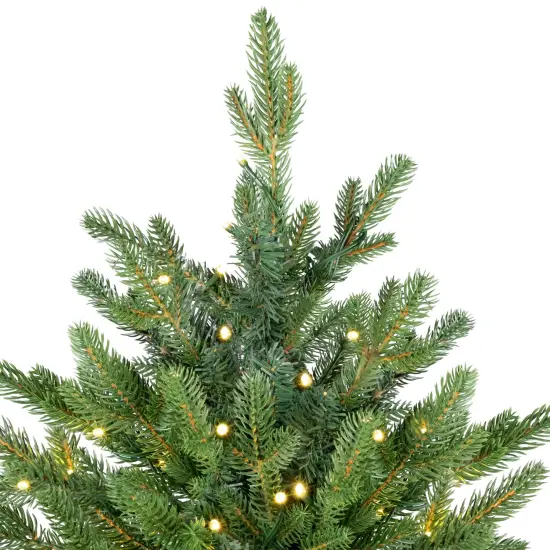 Northlight Real Touch™️Pre-Lit Elite Breckenridge Pine IPT Artificial Christmas Tree - 12' Dual Color LED Green {5}