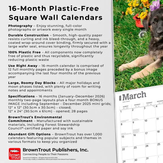 German Shepherd Puppies | 2026 12 x 24 Inch (Hanging) Monthly Square Wall Calendar | Plastic-Free {6}