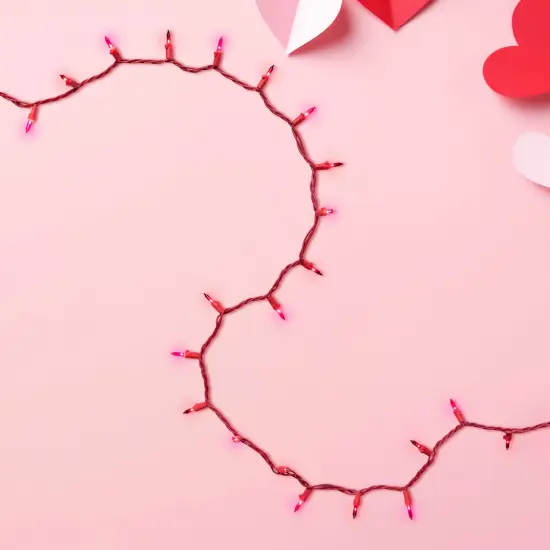 Northlight Mini Christmas Light Set - Red and Pink - 10' Red Wire - 50ct {5}