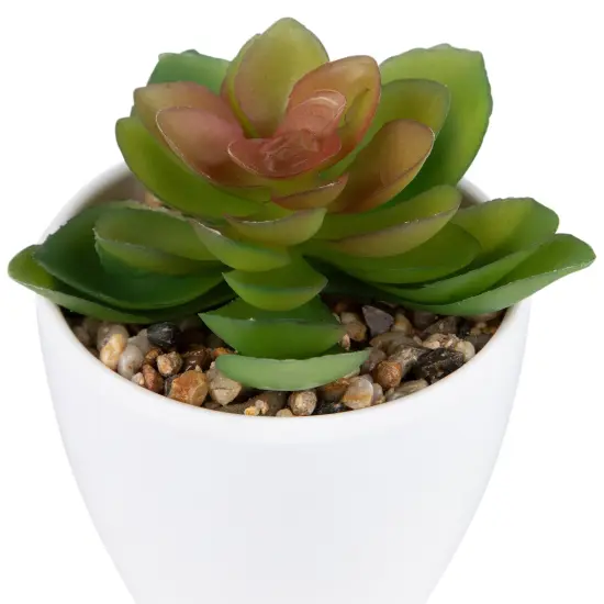Northlight Mini White Potted Artificial Succulent Plant - 4" {7}