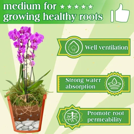 Green Moss for Indoor Plants, 8QT Orchid Moss for Repotting, Forest Moss for Potted Plants, Real Moss for Succulent Carnivorous Houseplant Terrariums Garden Reptiles {3}