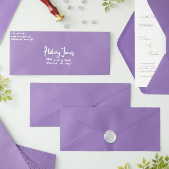 200 Pack #10 Purple Colored Envelopes Bulk - Gummed Seal Letter Size for Party Invitations, Business Mailing, Checks, Holidays, Greeting Cards, Thank You Notes (4.1in x 9.5in) {2}