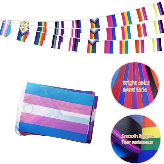 Rainbow Progress Small String Flags, 10 Types Rainbow Pride Pennant Banner Bunting Flags, LGBTQ and Gay Lesbian Pride, intersex, Bisexual, Pansexual, Transgender, Pride Month Outdoor Decorations, 33 Feet 30 Flags (1 Pack) {3}