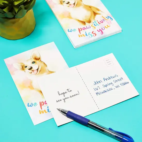 We Pawsitively Miss You Postcards, Attendance Postcard (4 x 6 In, 48 Pack) Multicolor {3}