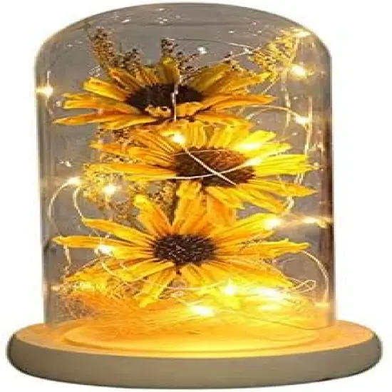 Sunflower in Glass Dome Gifts for Women Enchanted Flower with LED Light Enchanted Gift for Women on Christmas Valentine's Day Mother's Day Anniversary Birthday Thanksgiving {1}