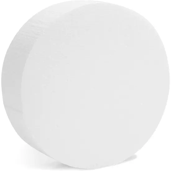 Craft Foam Disk, Blank Circles for DIY and Art (6 x 6 x 2 in, 6 Pack) White {5}