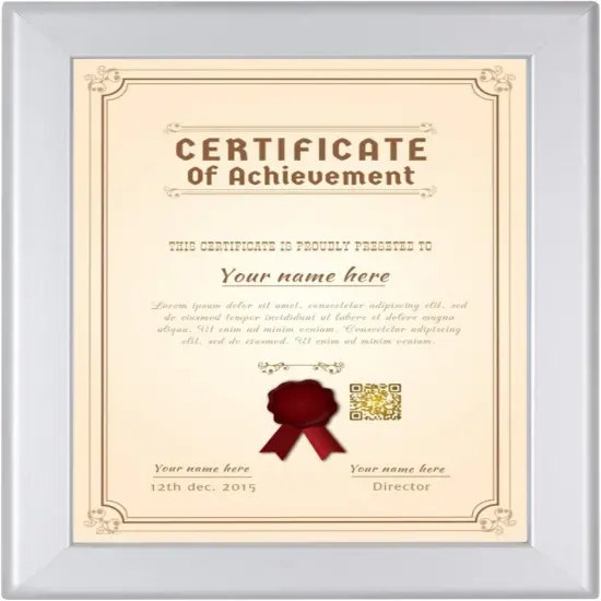 Certificate Frame 8.5x11, Silver, 1.25 Inch Aluminum Profile, Front-Loading Snap Frame, Wall Mounting, Professional Series {1}