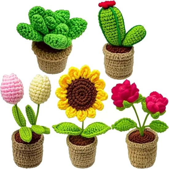 5PCS Crochet Kit for Beginners, Learn to Crochet Kits for Adults and Kids, Starter Craft Knitting Flower Kit {1}