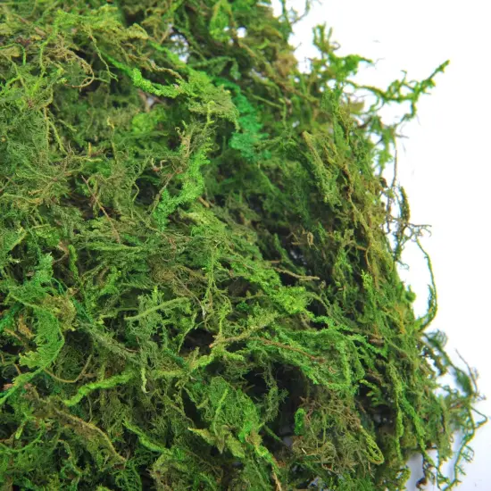 Fake Moss for Centerpieces Decor, Aftificial Green Moss for Plant Crafts Flower, 3.5oz {2}