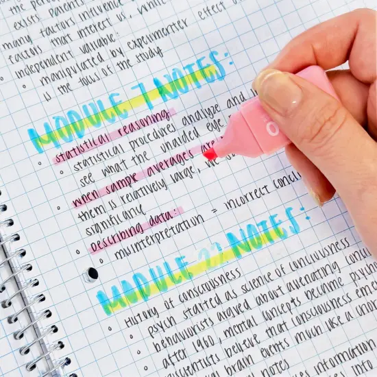 Wrapables Cute and Colorful Highlighters, Marker Pens, Stationery Supplies (Set of 6), Bears {4}