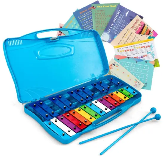 Portable Kids Glockenspiel Chromatic Metal Xylophone with 25 Tunes and 15 Rainbow Color Notes with 2 Full Octaves Pink {8}