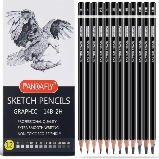 Professional Drawing Sketching Pencil Set - 12 Pieces Graphite Pencils(14B - 2H), Ideal for Drawing Art, Sketching, Shading, Artist Pencils for Beginners & Pro Artis {1}