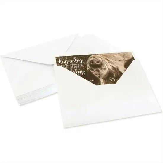 36 Pack Blank Motivational Greeting Cards with Dogs and Inspirational Quotes, Envelopes (4x6 In) Black {6}