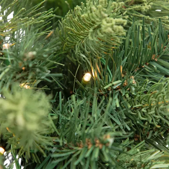 Northlight Pre-Lit Battery Operated Mossy Cashmere Pine Artificial Christmas Wreath - 32" - Clear Led Lights Green {6}